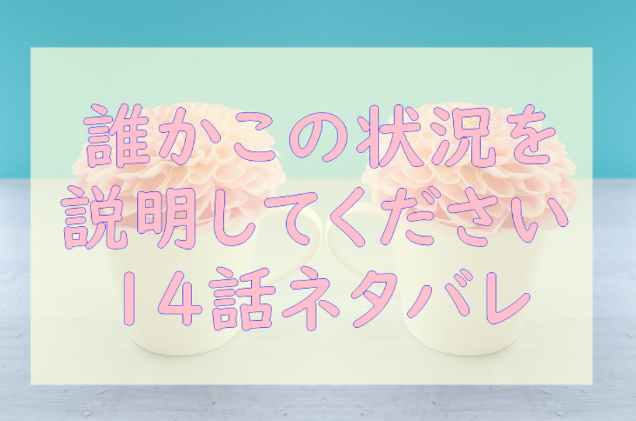 誰かこの状況を説明してください14