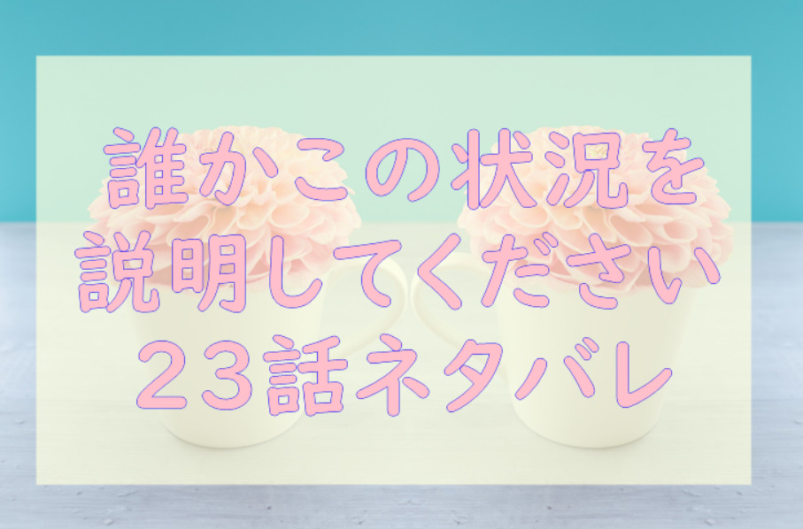 誰かこの状況を説明してください23