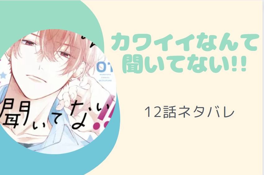 カワイイなんて聞いてない!!12